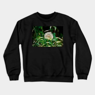 Amongst the Grass Crewneck Sweatshirt